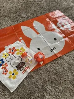 Item thumbnail for item aec2b59c-bfa0-4b08-8d28-7e3a570924e7