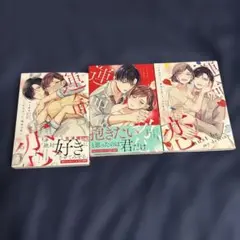 これはきっと、運命の恋 ①②③３冊セット
