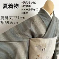 夏着物 紗 洗える小紋 グリーン系 縦暈し グラデーション トールサイズ 