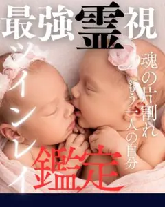 【24時間以内鑑定】霊視鑑定　ツインレイ鑑定