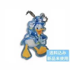 ディズニーシー　25周年　キーホルダー　ドナルドのサムネイル
