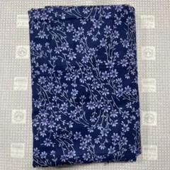 Item thumbnail for item 70df3d2e-94da-44c8-97eb-29be3ccc6d61