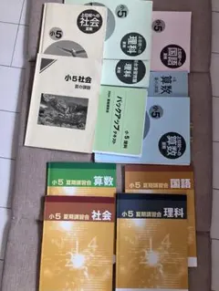 2026年最新】早稲アカ 夏期講習 小5の人気アイテム - メルカリ