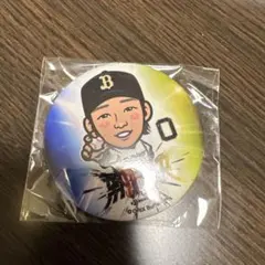 Item thumbnail for item 6357c2d4-d0b2-42b0-8e6b-57444dcfe709