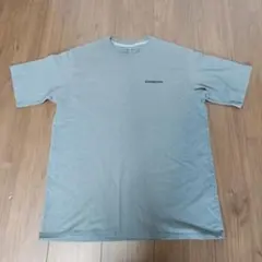 patagonia Mサイズ Tシャツ