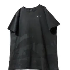 Item thumbnail for item 5fcea8ca-7e90-482d-825d-a2e9596a2f37