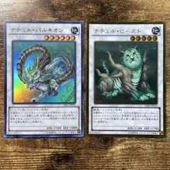 2026年最新】ナチュル・パルキオンの人気アイテム - メルカリ