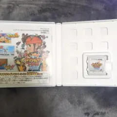ヨッシー様専用　3DS イナズマイレブン1・2・3 円堂守伝説