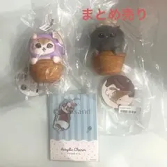2026年最新】アクリルアイスまとめ売りの人気アイテム - メルカリ