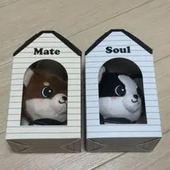 INFINITY MOON登坂広臣ØMI Mate Soulメイト ソウルのサムネイル
