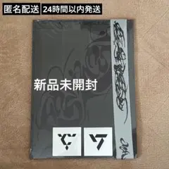 SEVENTEEN ホシウジ　BEAM 新品未開封　アルバム　＋ PLUSVER