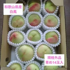 岡山県産一宮ブランド白鳳家庭用2.3キロ - メルカリ