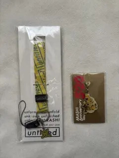 嵐untitledストラップ 、5×20チャーム2点セット