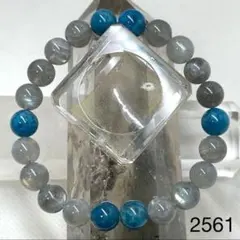 Item thumbnail for item 76cf16a9-3054-428e-8ae7-f17b61e79dd9