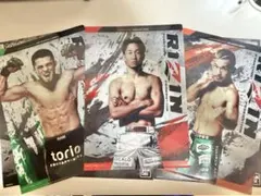 RIZIN クリアファイル 3枚セット 朝倉未来 シェイドゥラエフ 扇久保博正