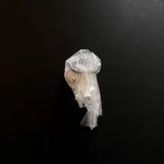 skzoo つまんでつなげてますこっと フォクシニー アイエン チェーン