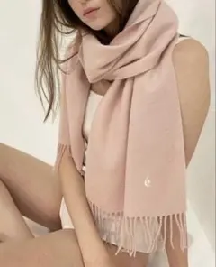 エピヌ マフラー