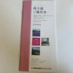 東急不動産　株主優待券　100株