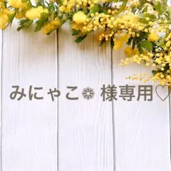 みにゃこ❁ 様専用♡