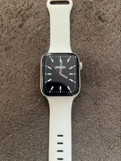 Apple Watch 本体