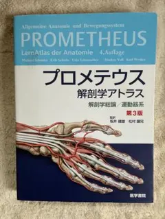 Item thumbnail for item 969150c9-2c1d-48c3-a119-af4db2ec5866