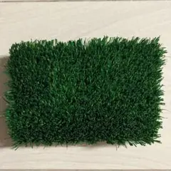 後楽園球場　人工芝