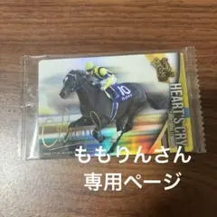 ももりん様専用ページ