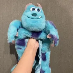 東京ディズニーリゾート ファンキャップ モンスターズインク　サリー