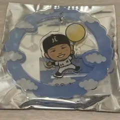 紅林弘太郎 オリックスバファローズ ゆらゆらアクリルスタンド エアー