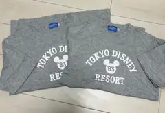 東京ディズニーランド Tシャツ　グレー　M L