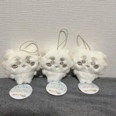 【おまけ付き】ちいかわ ぬいぱれっと シーサー 3点セット