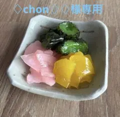 食品サンプル　おしんこ