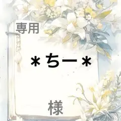 ＊ちー＊ 様　専用