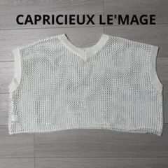 美品⭐︎CAPRICIEUX LE'MAGE メッシュセーター　ベスト　ホワイトのサムネイル