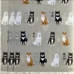 【非売品未使用】柴犬 柴田さん 10周年記念 クリアファイル 3枚セット