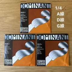 1/4 バイオリン 弦 A線 D線 G線のサムネイル