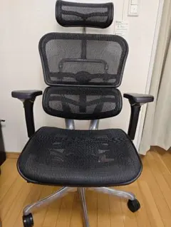 エルゴヒューマンプロ 2022年製