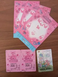 ディズニーリゾートライン　ファンダフル・デイズ 1日パス　使用済み　ダッフィー