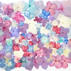 【在庫処分/訳あり】押し花素材：アジサイ/紫陽花（741 レジン パーツ）