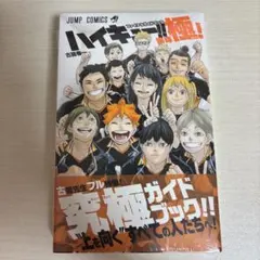 ハイキュー!! 極！