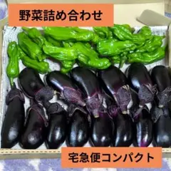 野菜詰め合わせ 野菜セット 宅急便コンパクトのサムネイル