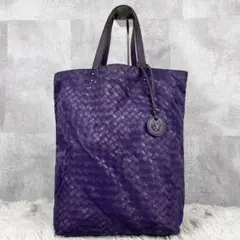 A4 美品 ボッテガヴェネタ ナイロン トートバッグ イントレッチオリュージョン