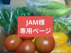 JAM様専用ページ