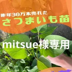 mitsue様専用