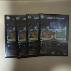 パーフェクトアドベンチャー