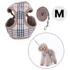 Item thumbnail for item 61c4b8f6-ecb9-48b9-b01b-4476016f92a0