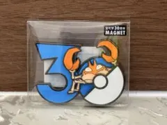 中国限定 ポケモン30周年 マグネット ウソハチ 宝可梦30th MAGNET