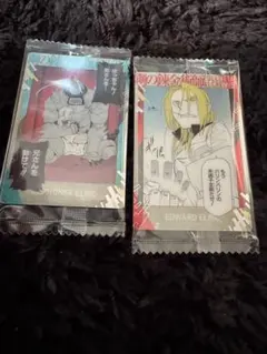 鋼の錬金術師 ウエハース　メタリックカード　エド　アル