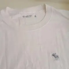 【新品タグ無し】Abercrombie & Fitch Tシャツ ホワイト Mのサムネイル