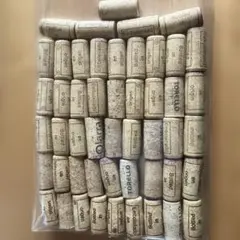 Item thumbnail for item 56f5b9a2-08d3-4100-851c-522863806bb6